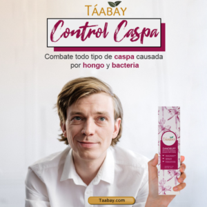 caspa 2105 q