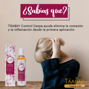 taabay 0605 copia